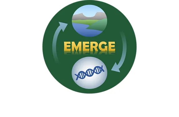 EMERGE Institute